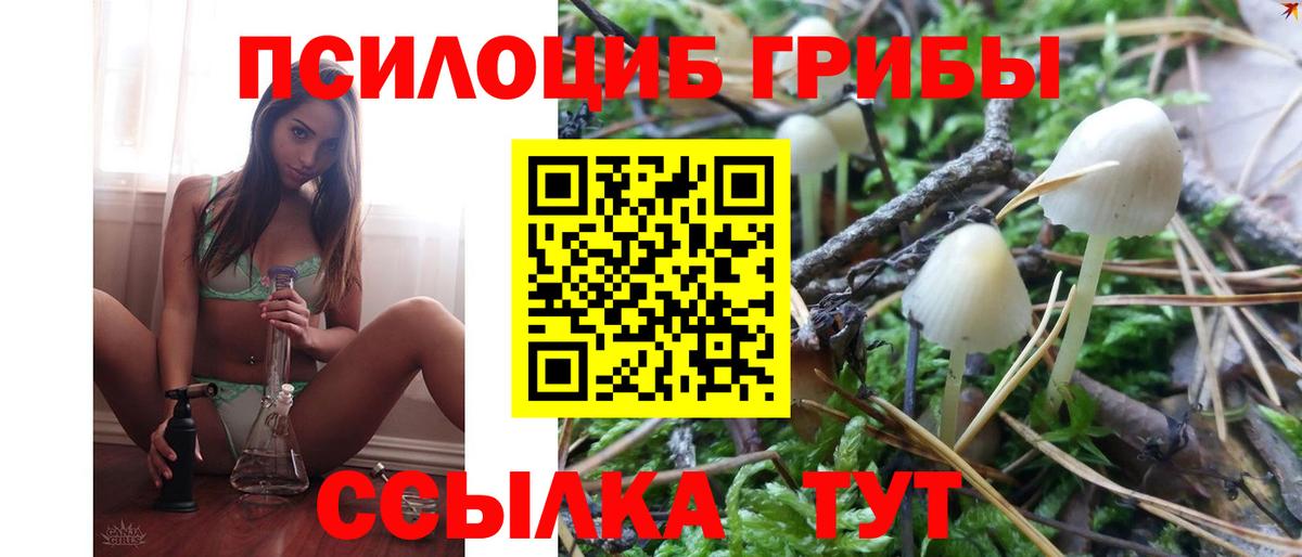 Псилоцибиновые грибы GOLDEN TEACHER Сочи