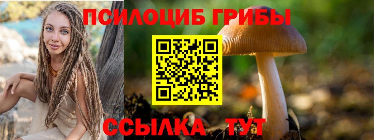 Галлюциногенные грибы прущие грибы  Вход с VPN  Сочи 